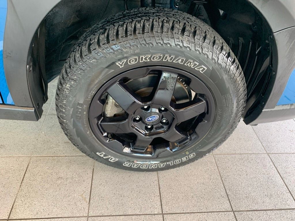 2024 Subaru Outback Wilderness