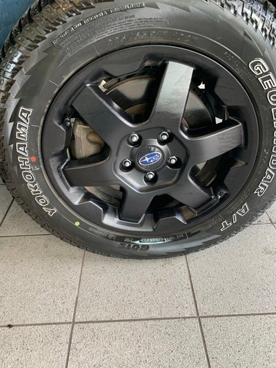 2025 Subaru Outback Wilderness