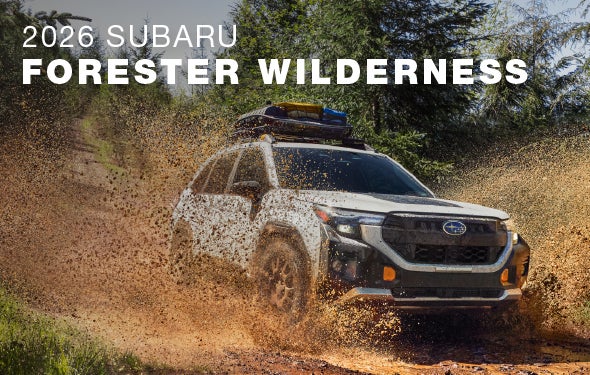 2026 Subaru Forester Wilderness | Jenkins Subaru in Bridgeport WV