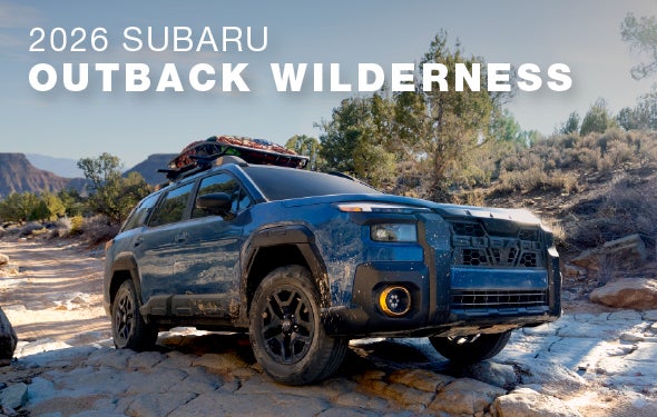 2026 Subaru Outback Wilderness | Jenkins Subaru in Bridgeport WV