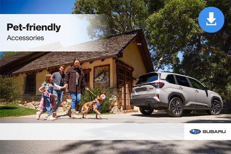 Jenkins Subaru in Bridgeport WV