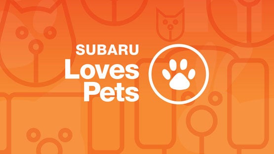 Jenkins Subaru in Bridgeport WV