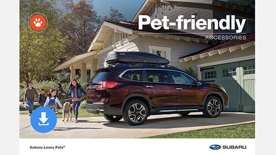Jenkins Subaru in Bridgeport WV
