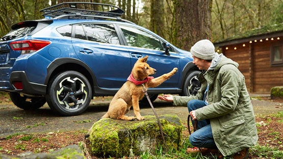 Jenkins Subaru in Bridgeport WV