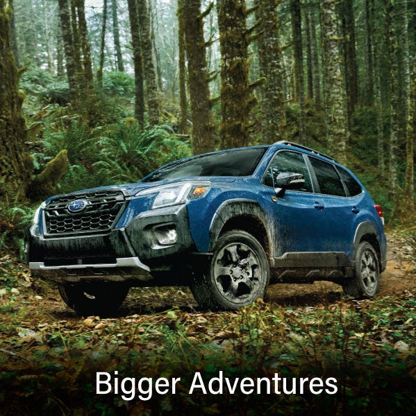 A blue Subaru outback wilderness with the words &ldquo;Bigger Adventures&ldquo;. | Jenkins Subaru in Bridgeport WV