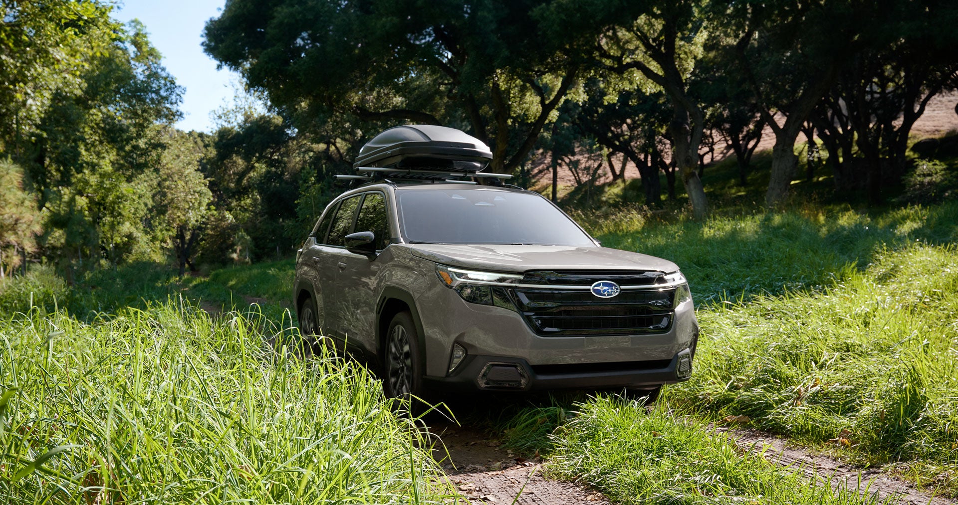 Subaru SUV forester on a grassy forest trail with roof box